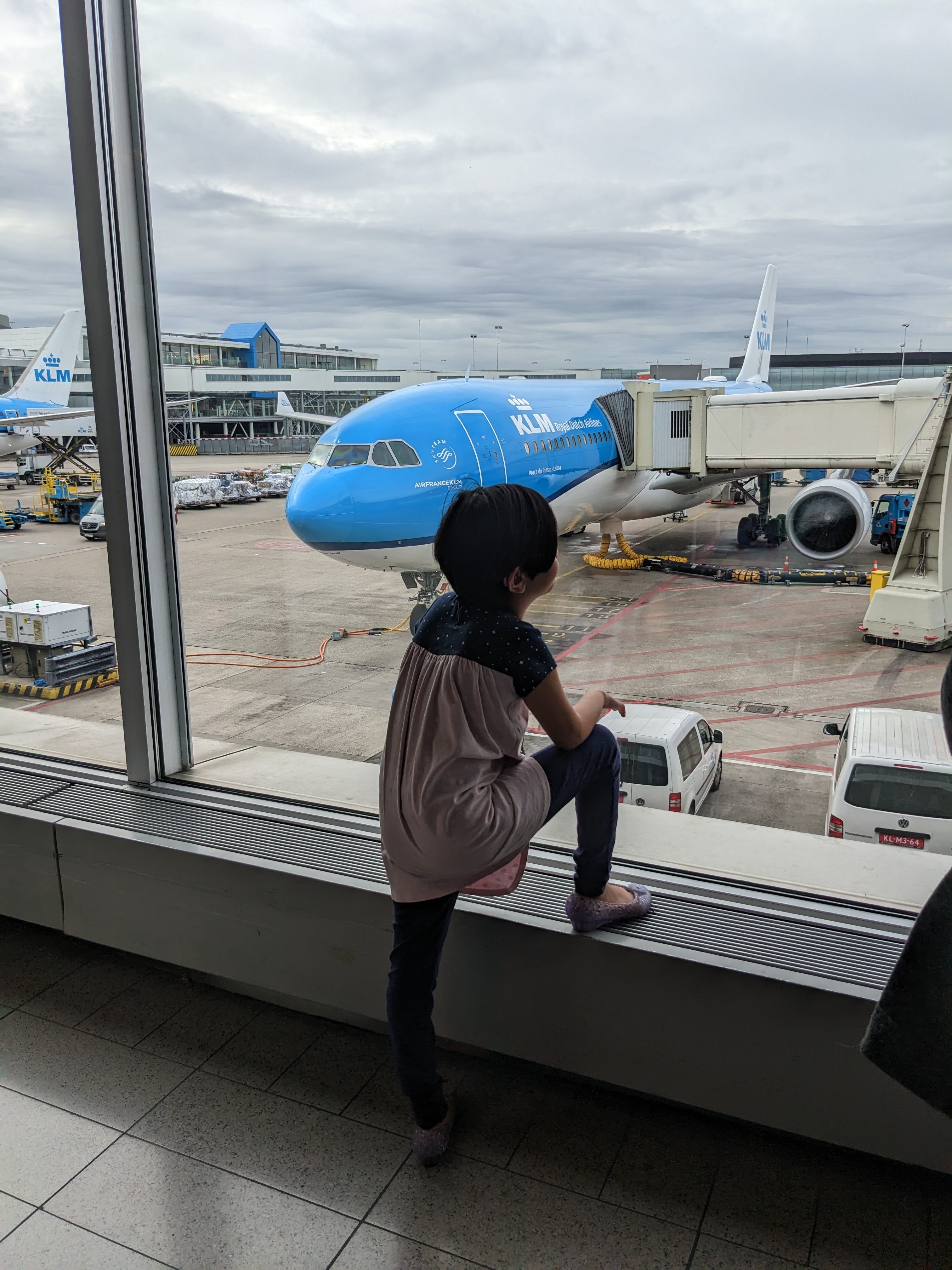 dark haired child looking out the window at an blue KLM plane